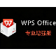 最新 WPS 2025 专业版增强版下载